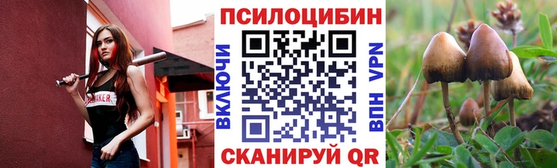 Галлюциногенные грибы Psilocybine cubensis  цены наркотик  Муравленко 